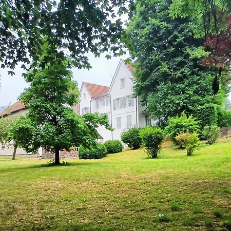 Domaine De La Moselle Saint-Maurice-sur-Moselle Exterior foto